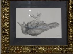 Exposición el tiempo de la Crisálida